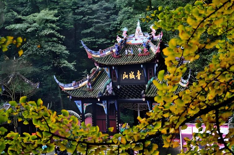 A narrow stone stairway climbs through dense forest toward a traditional wooden temple gate at Mount Qingcheng.